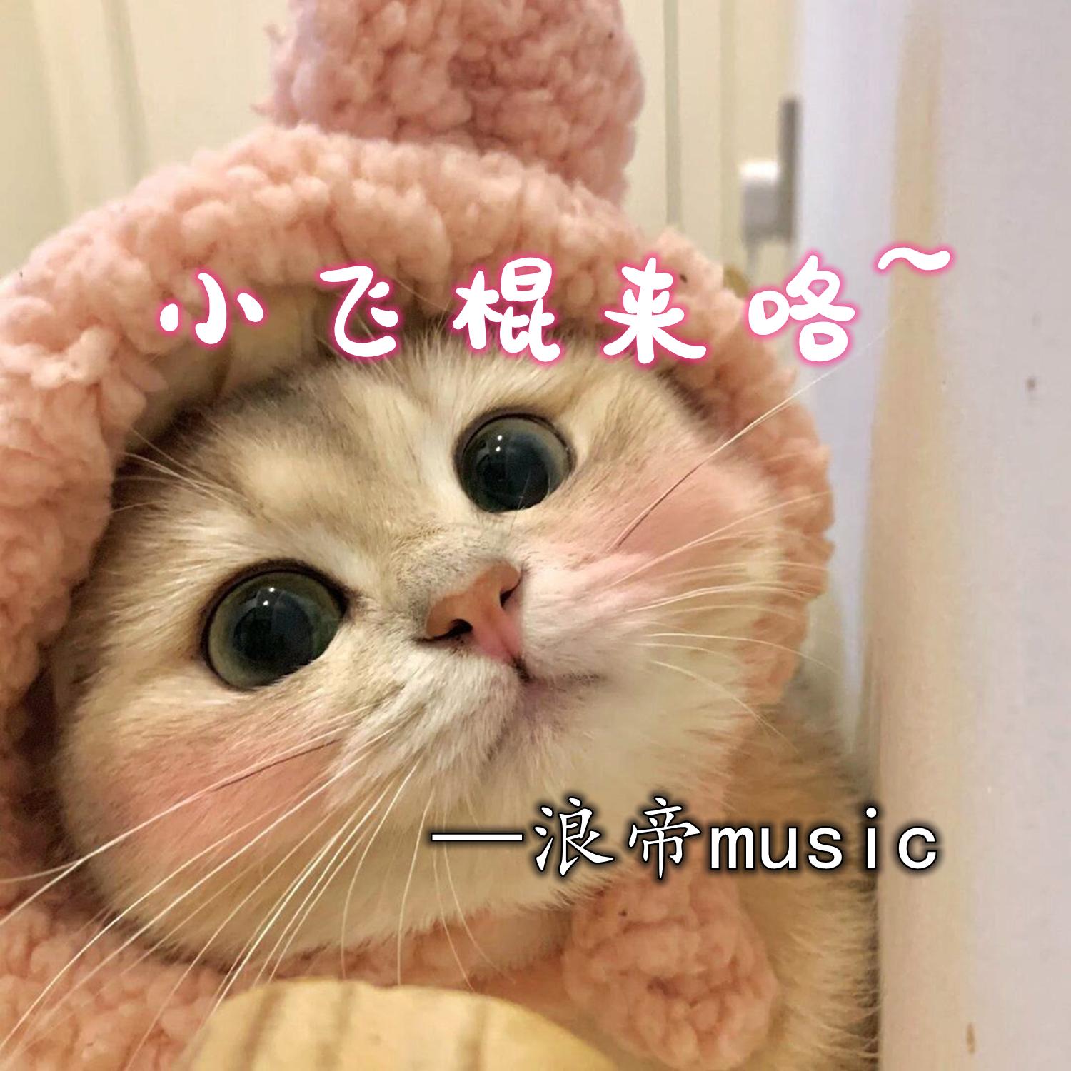 猪猪侠 (浪帝弹鼓版)