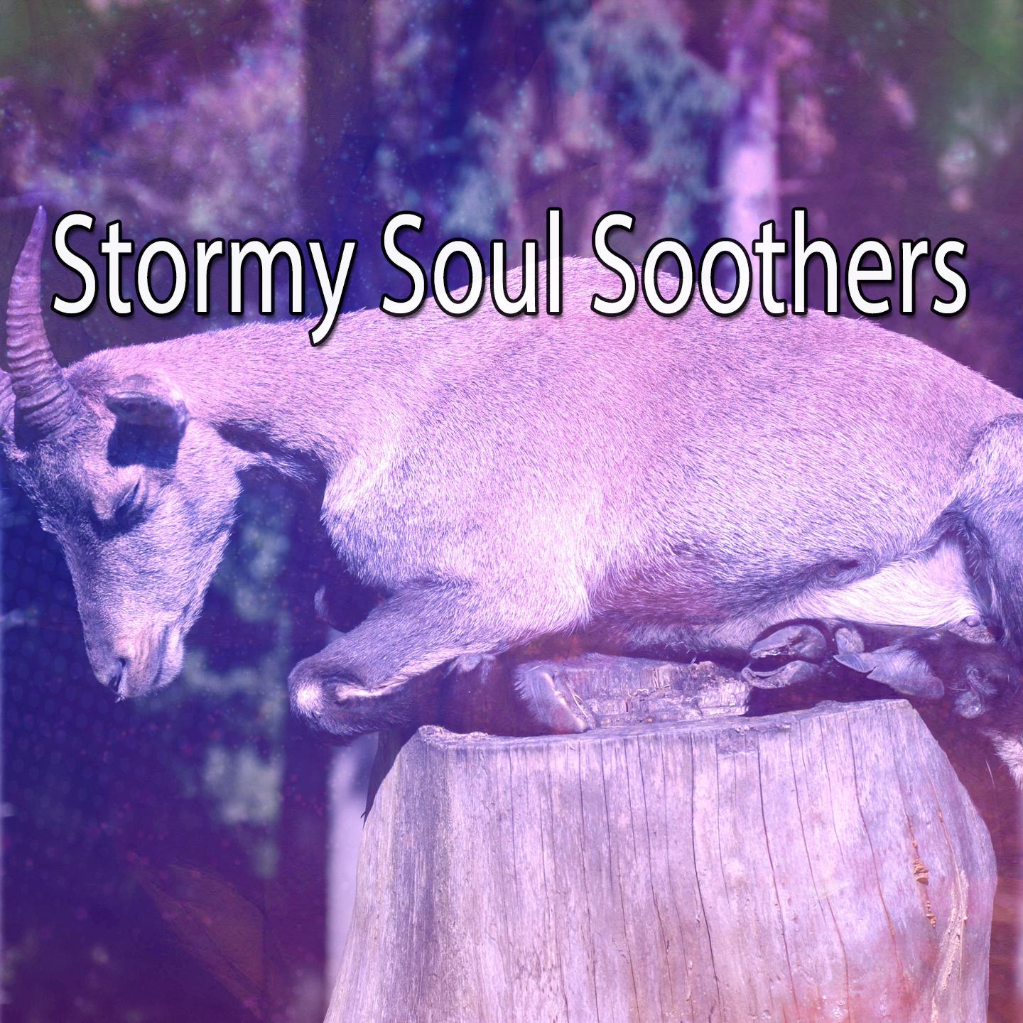 Stormy Soul Soothers专辑