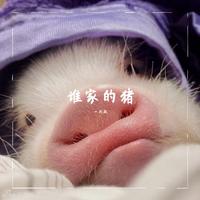 谁说婆媳是冤家-伴奏(作曲、编曲龚国强)