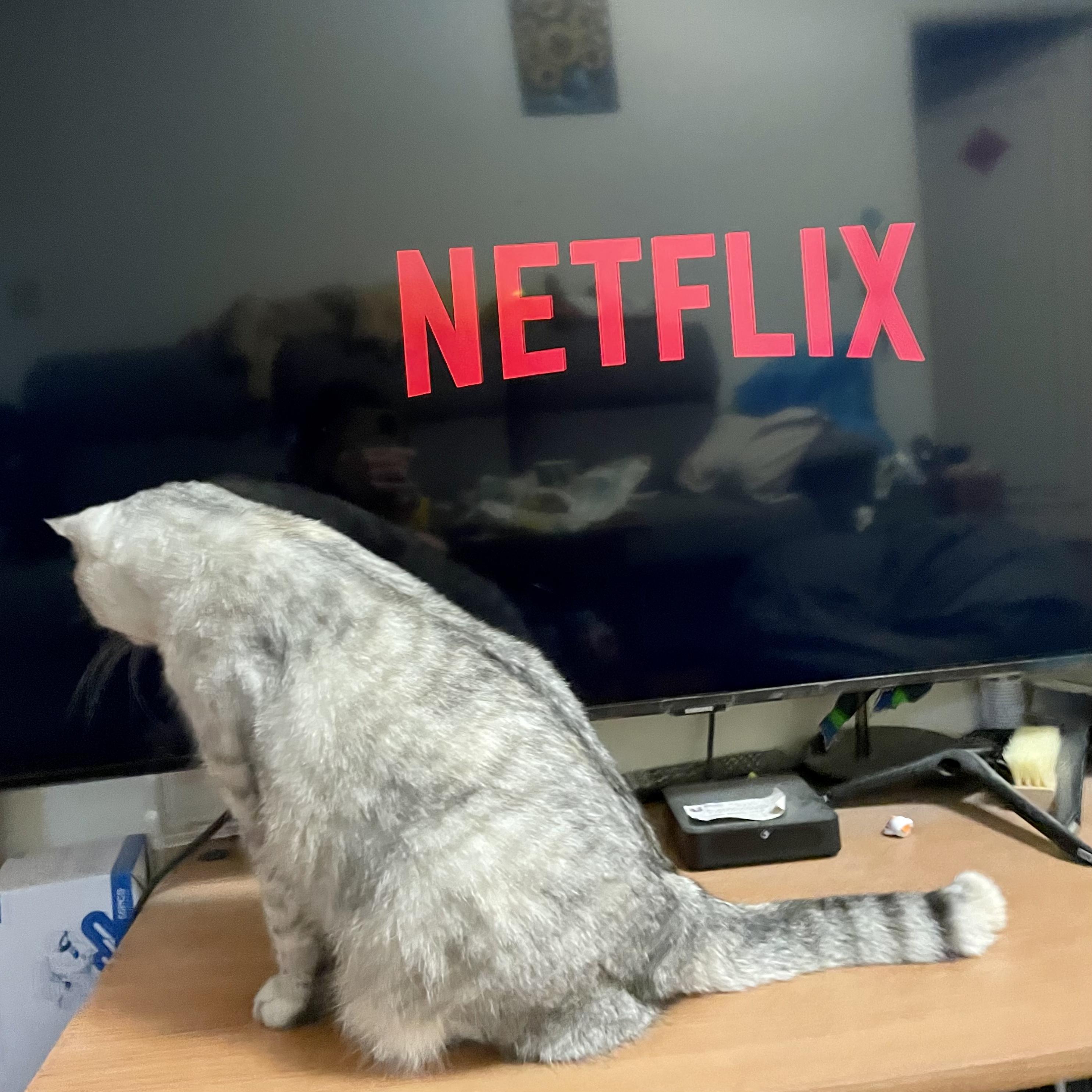 Netflix and Chill