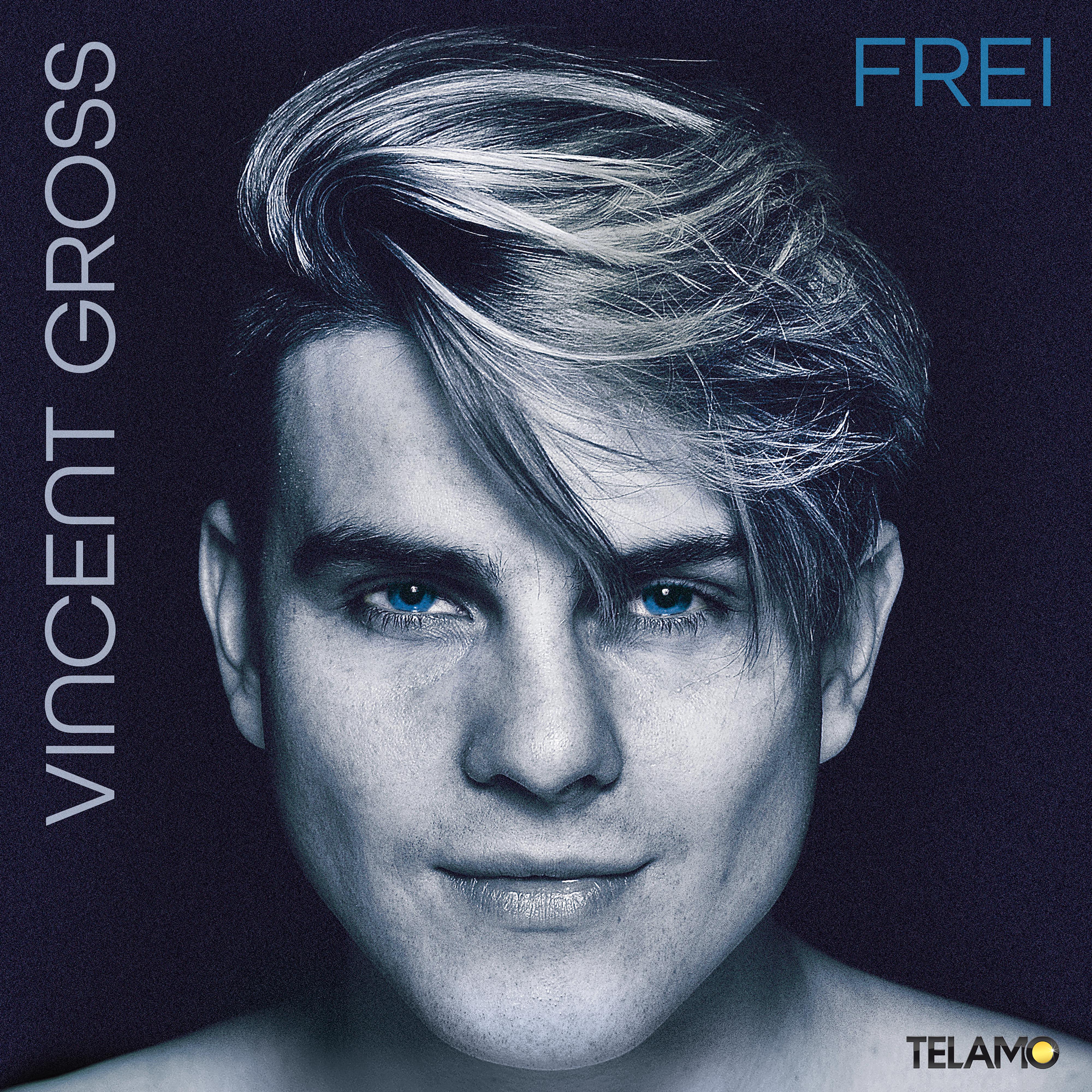 Vincent Gross - Weisst was ich mein