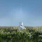 想念你的日子专辑