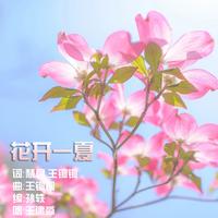 王建淼 - 花开一夏(原版立体声伴奏)