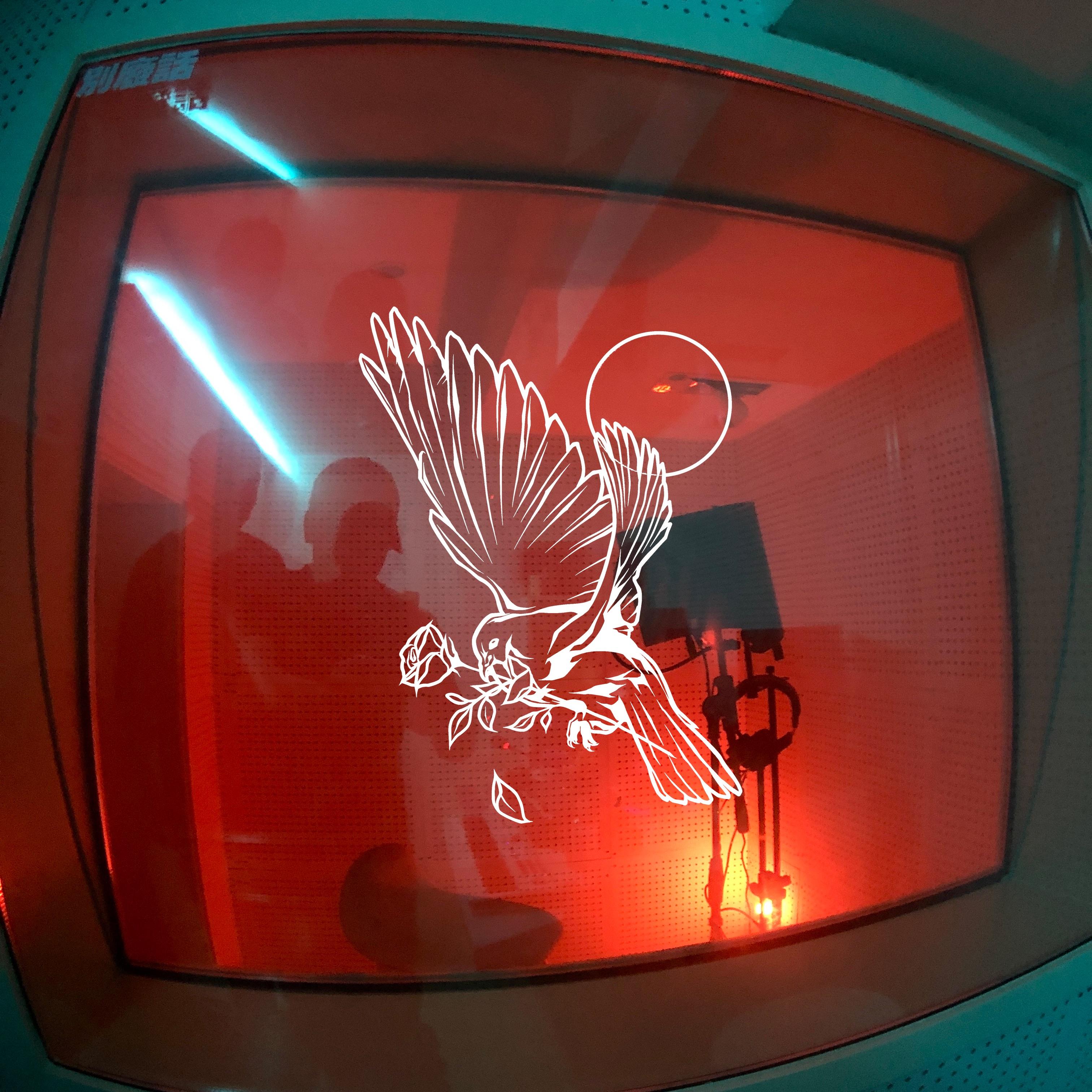 今天晚上又是个Party