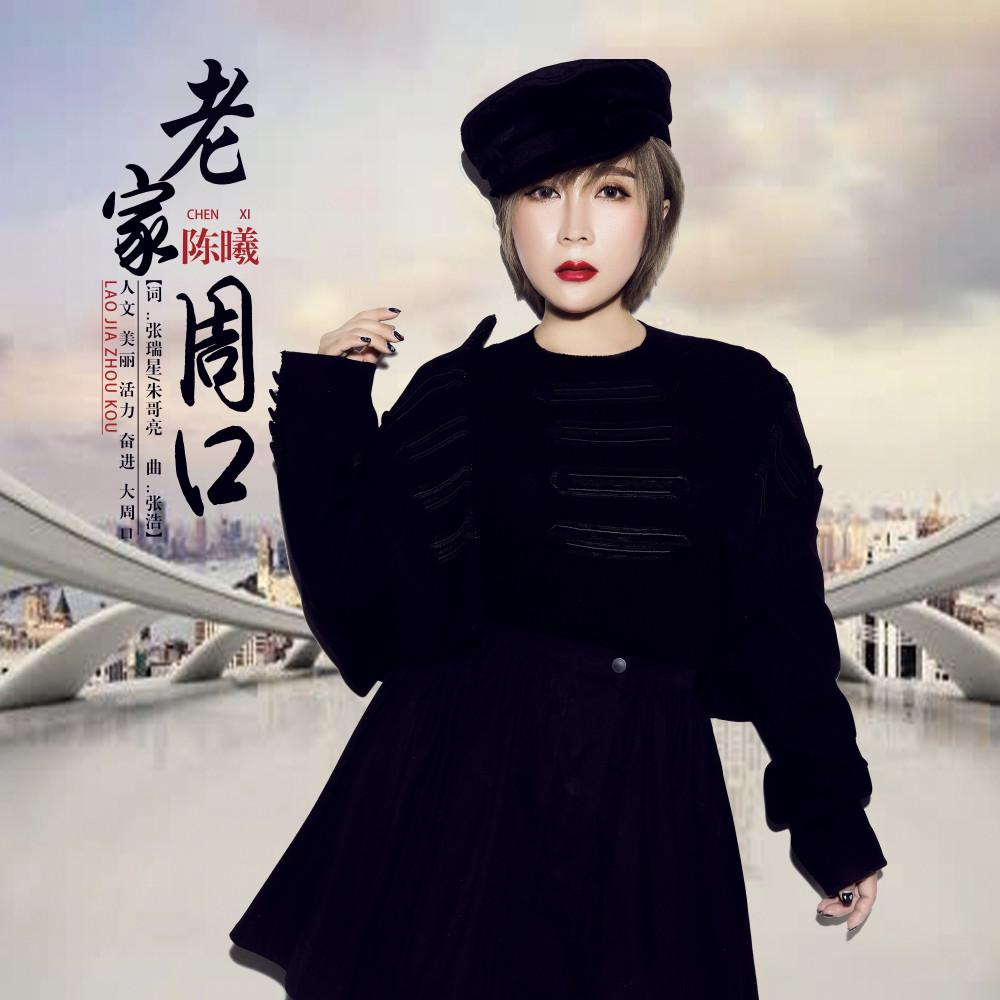 老家周口 - 陈曦 - 单曲 - 网易云音乐