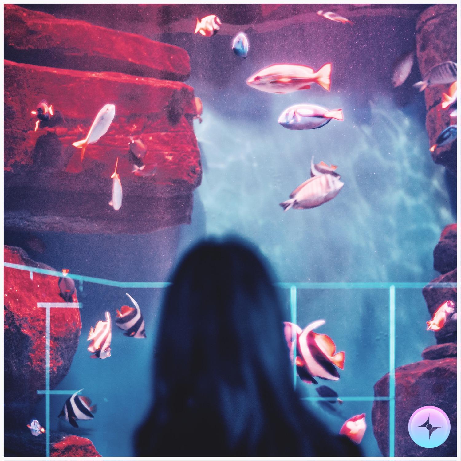 Setsuna (StarlingEDM Remix)