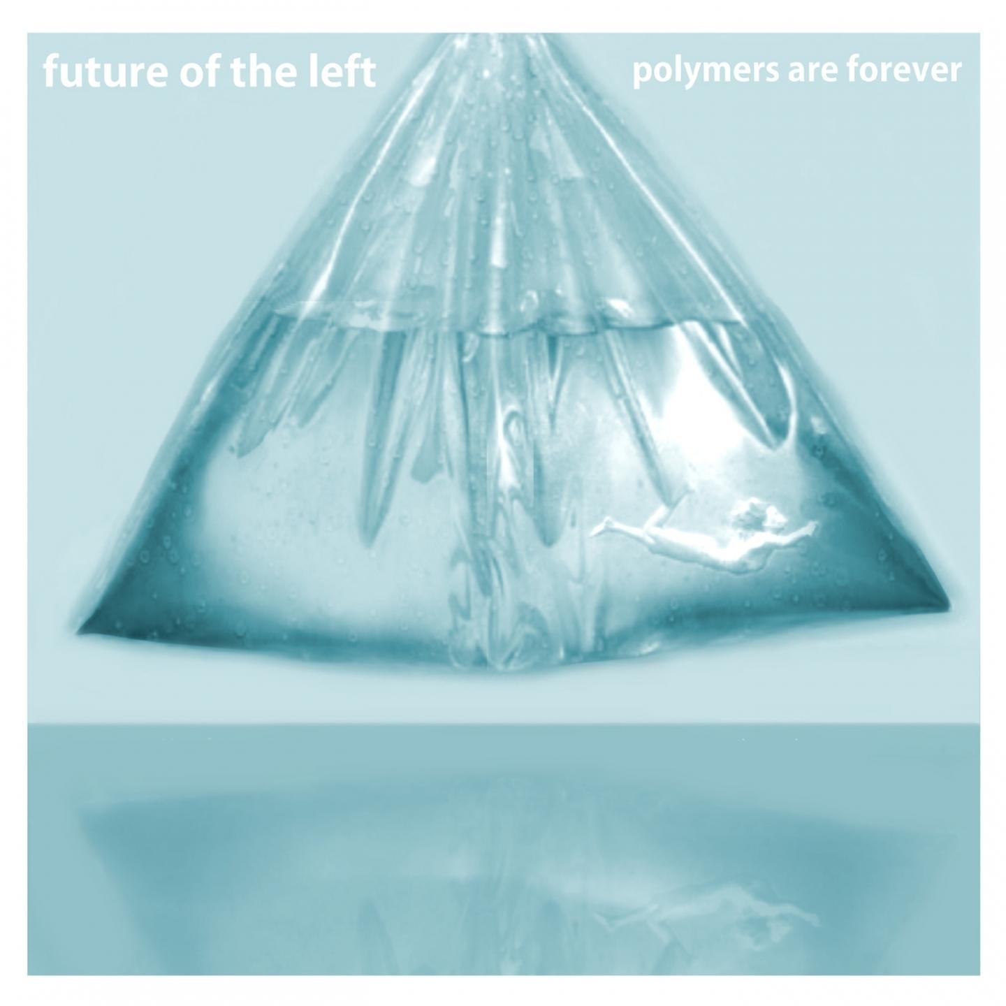 Polymers Are Forever