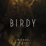 Words (EDX Remix)专辑