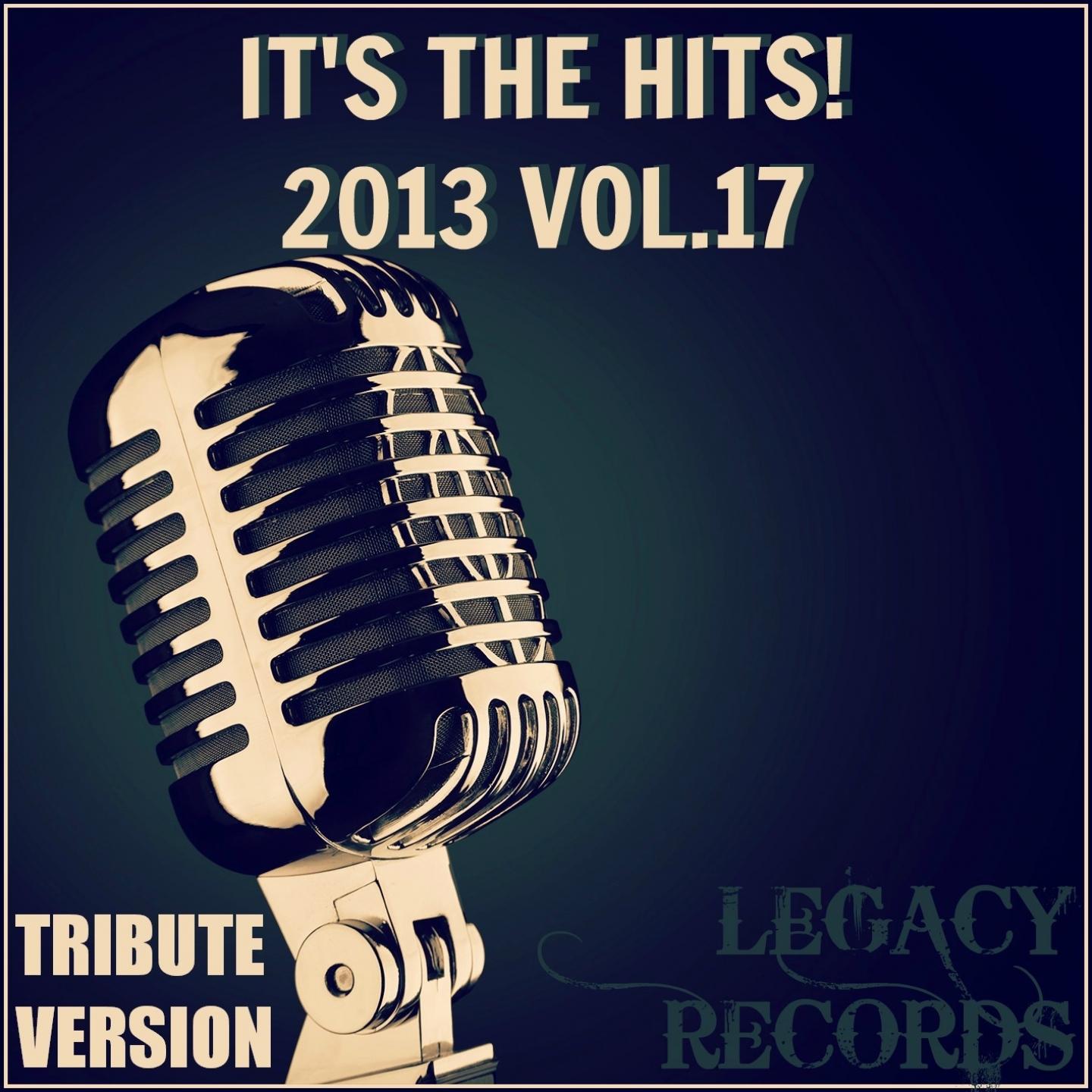 It's the Hits 2013, Vol. 17