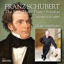 Franz Schubert: The Last Three Piano Sonatas专辑