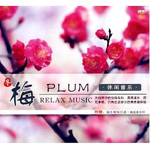 冬梅简谱_冬梅花图片