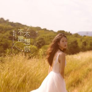 季彦霖 - 不是不想你 (伴奏).mp3 （降4半音）