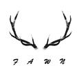 Fawn