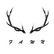 Fawn