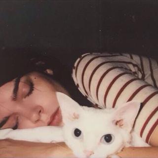 “慵懒时光,与我的猫想你”