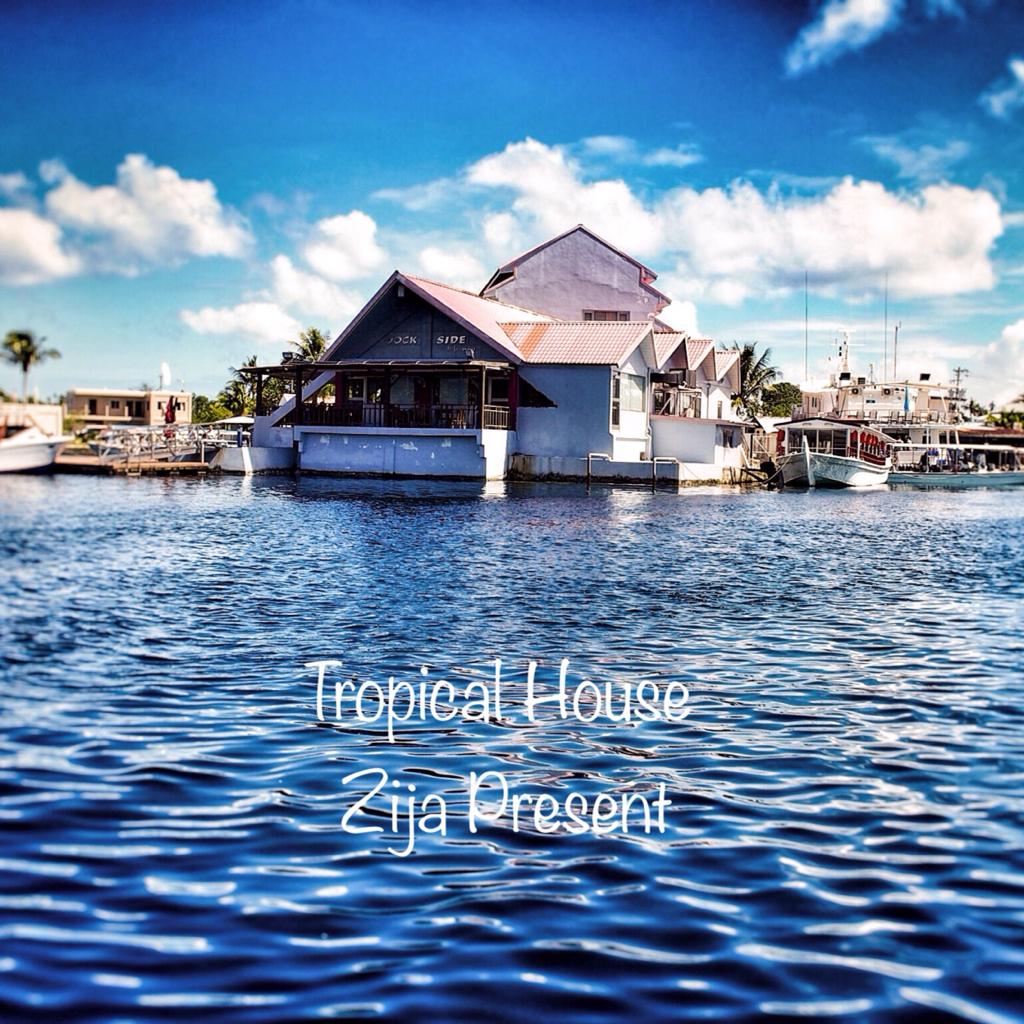 Tropical House 热带浩室/ Chill | 在线播放 | 网易云音乐