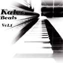 Kaleo Beats Vol​.​1专辑