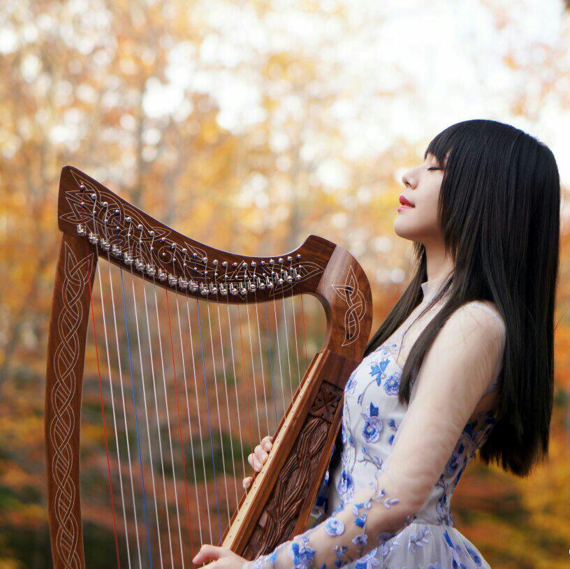竖琴精选｜唯美音律，如诗如梦的浪漫