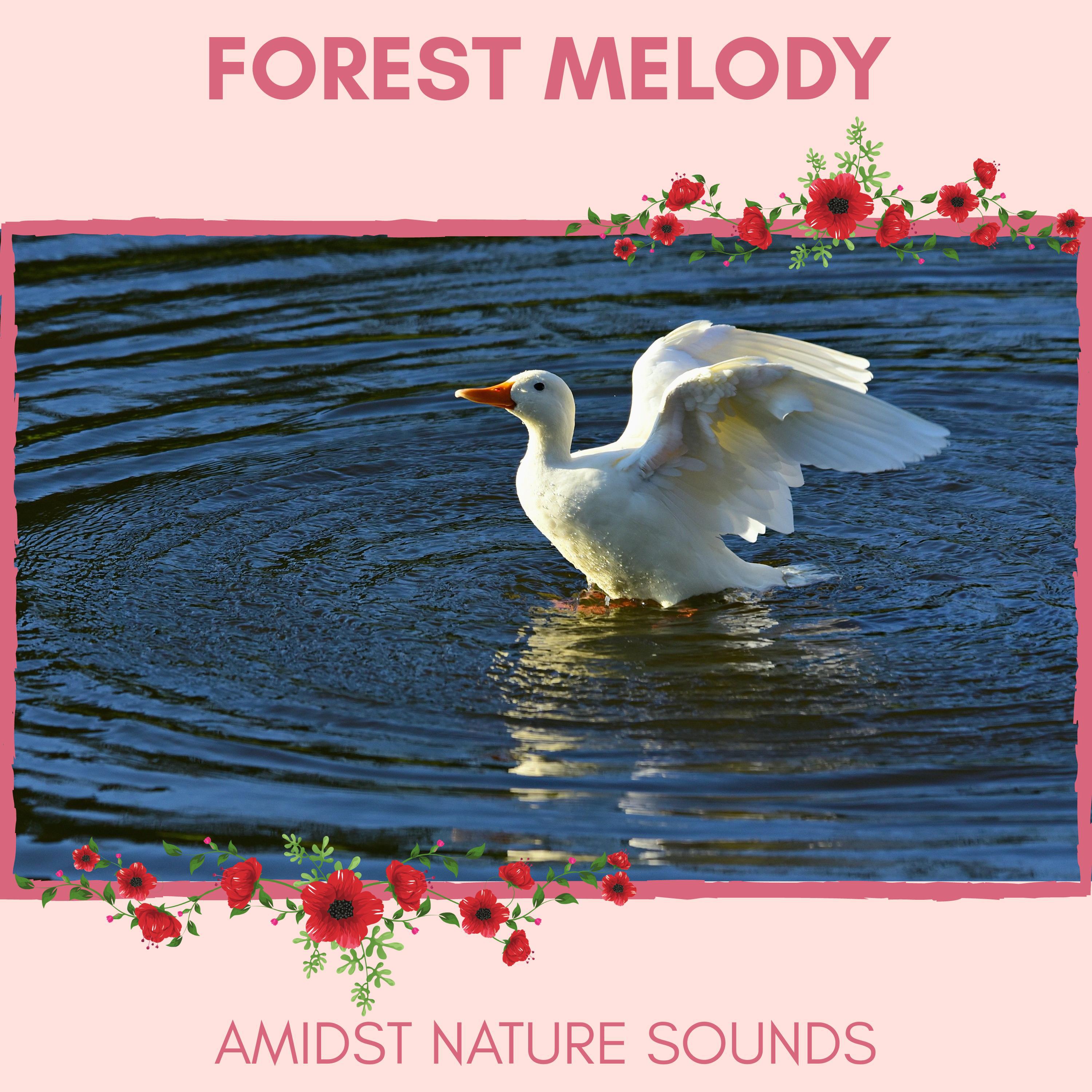 Nature Ambience - Thriling Frogs