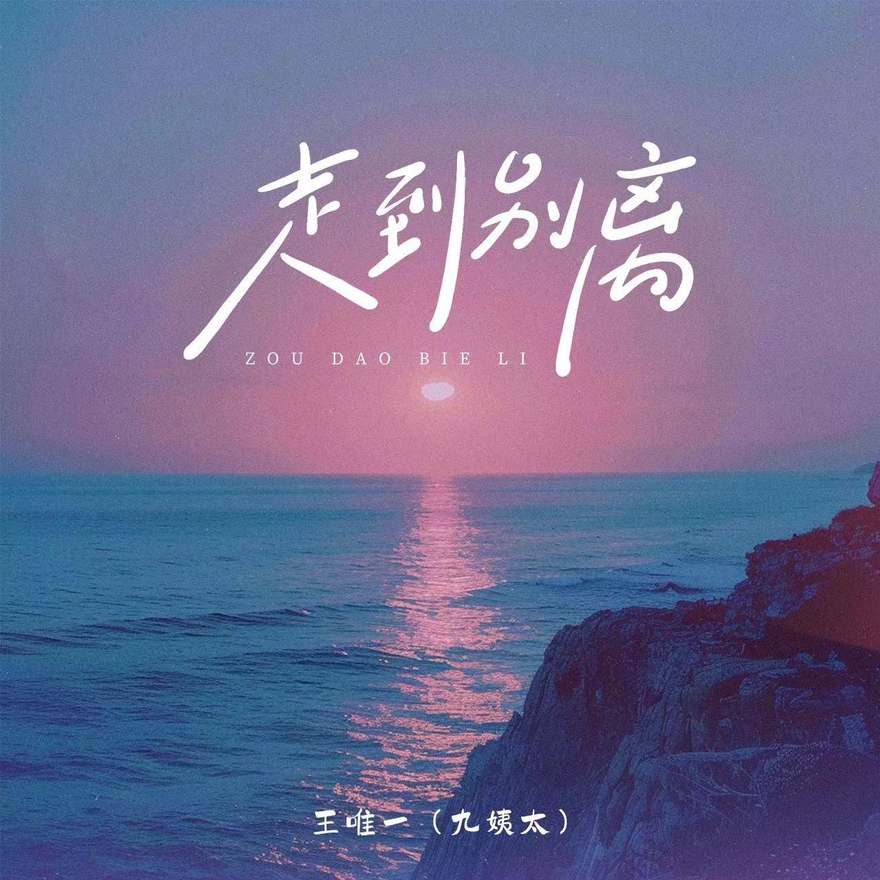 王唯一（九姨太） - 走到别离(和声伴奏)