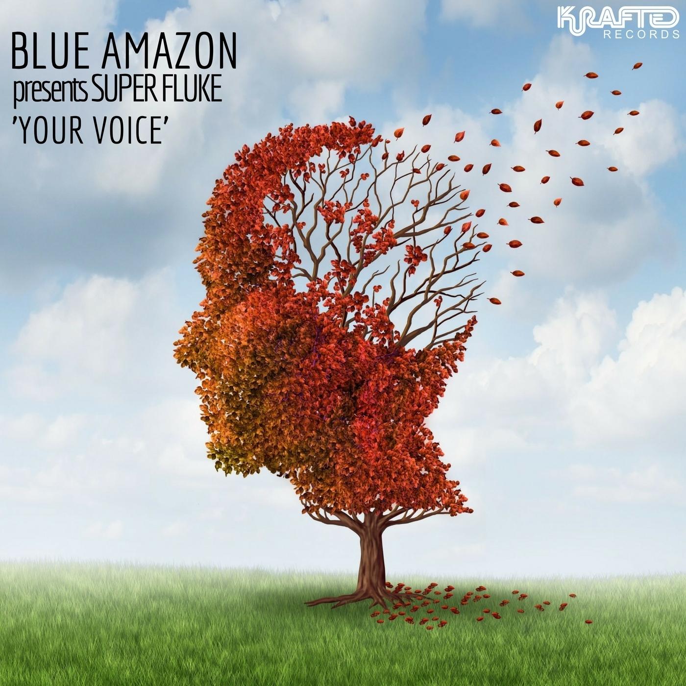 Super Fluke - Your Voice