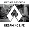 Dreaming Life(逍遥)