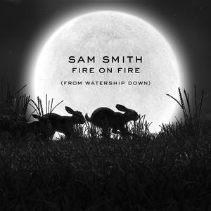 Fire On Fire【Sam Smith 伴奏】
