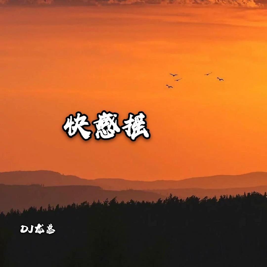 DJ龙总《温情旋律(DJ版)》
