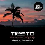 Summer Nights (Tiesto's Deep House Remix)专辑