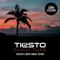Summer Nights (Tiesto's Deep House Remix)专辑