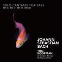 Bach: Solo Cantatas for Bass专辑