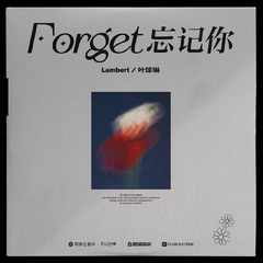 Lambert,叶琼琳《Forget忘记你吉他谱》G调_编配精致感人