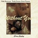 Without You (S7even Bootleg)专辑