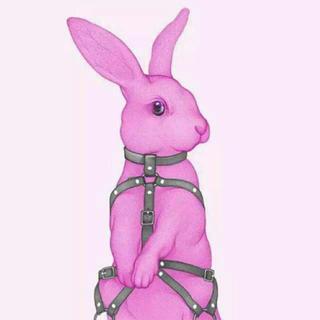 - 饒舌也能很溫柔 -