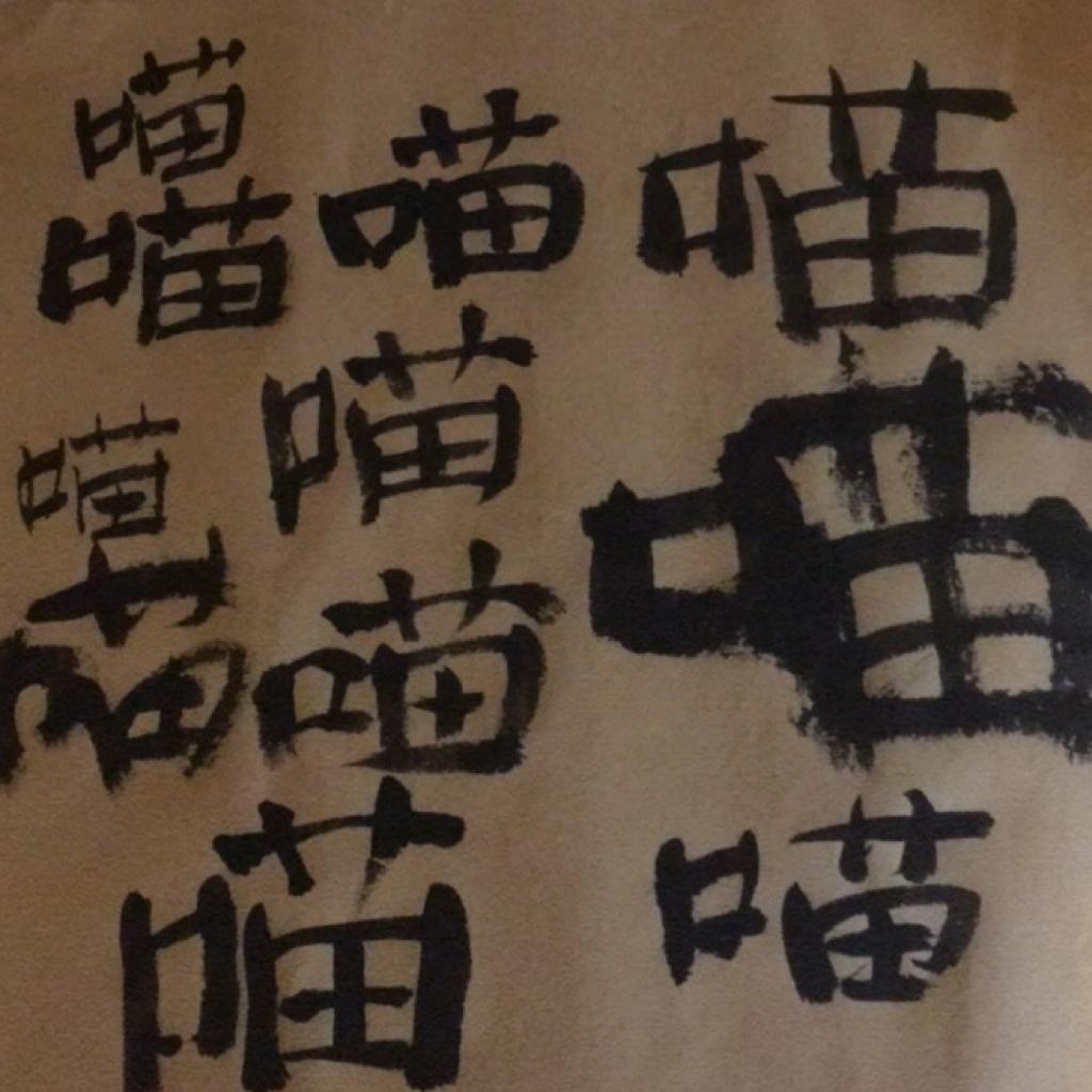 发条鲤鱼的歌单