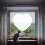 叨贰爷喜欢的音乐