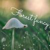 VerneeCocoa - Forest Fancy