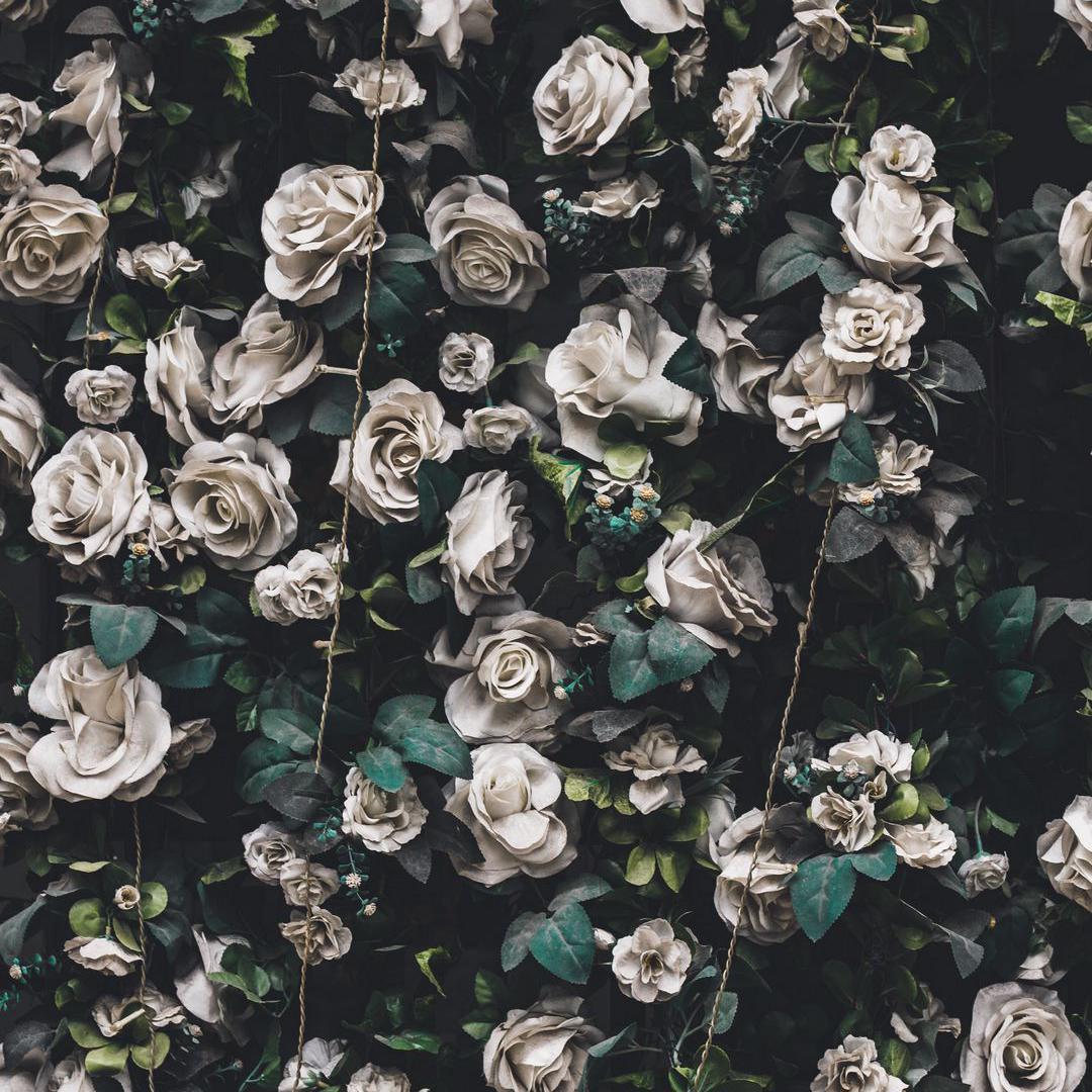 迈出了一步 下一步（温柔 remix）