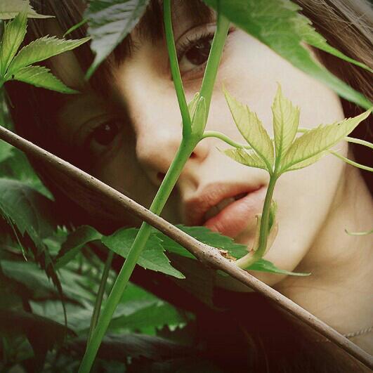 春雨添花，花动春色 | 在线播放 | 网易云音乐