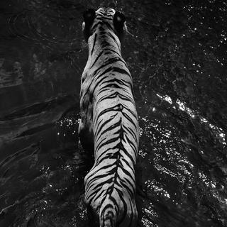 车载音乐，带给你不一样的燥动