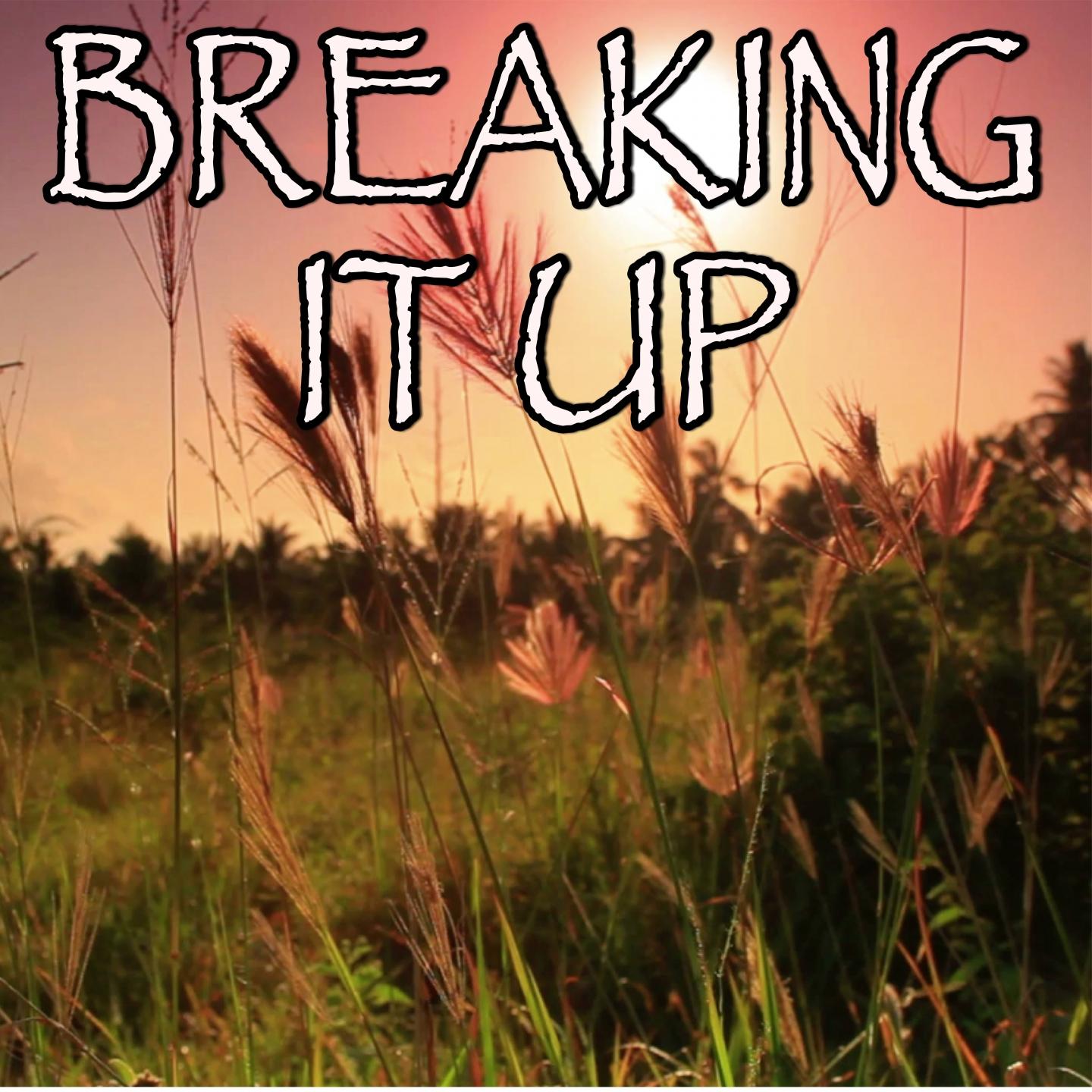 breaking it up - tribute to lykke li
