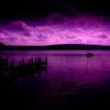Purple Rain 专辑