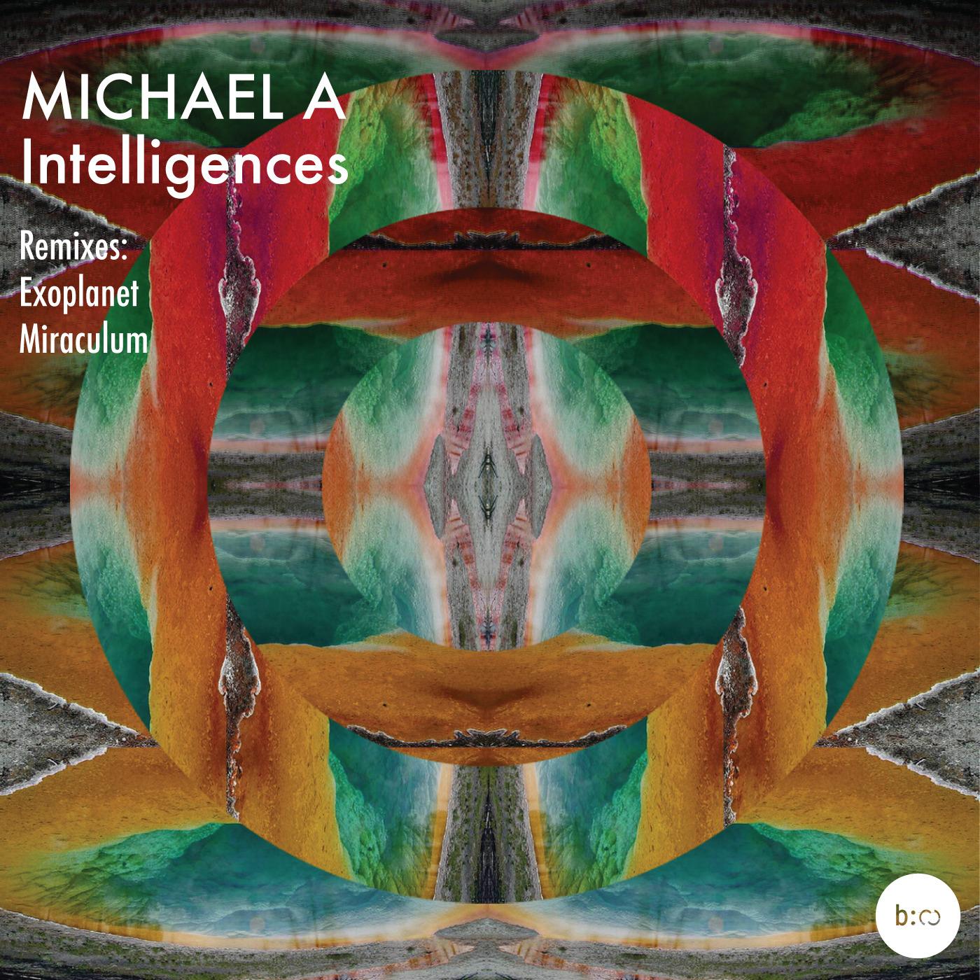 Intelligences