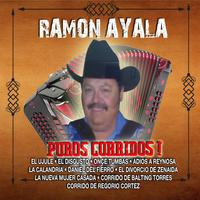 Ramon Ayala - Senor Dios (karaoke)