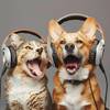 Alpha For Pets - Pawful Musical Peace