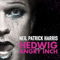 Wig in a Box - Hedwig and the Angry Inch (unofficial Instrumental) 无和声伴奏