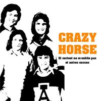 Un Jour Sans Toi - Crazy Horse (unofficial Instrumental)