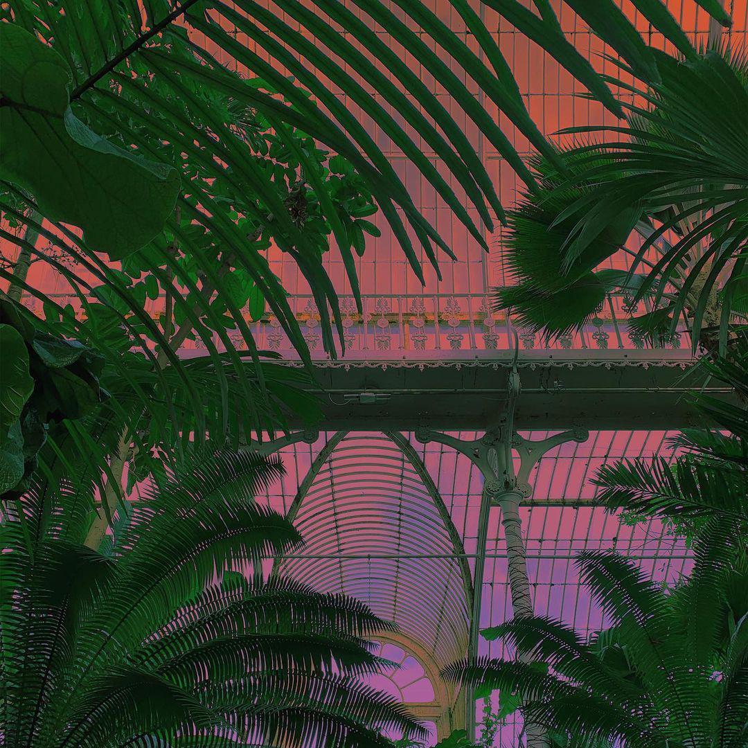 Back And Forth \\ $CC731