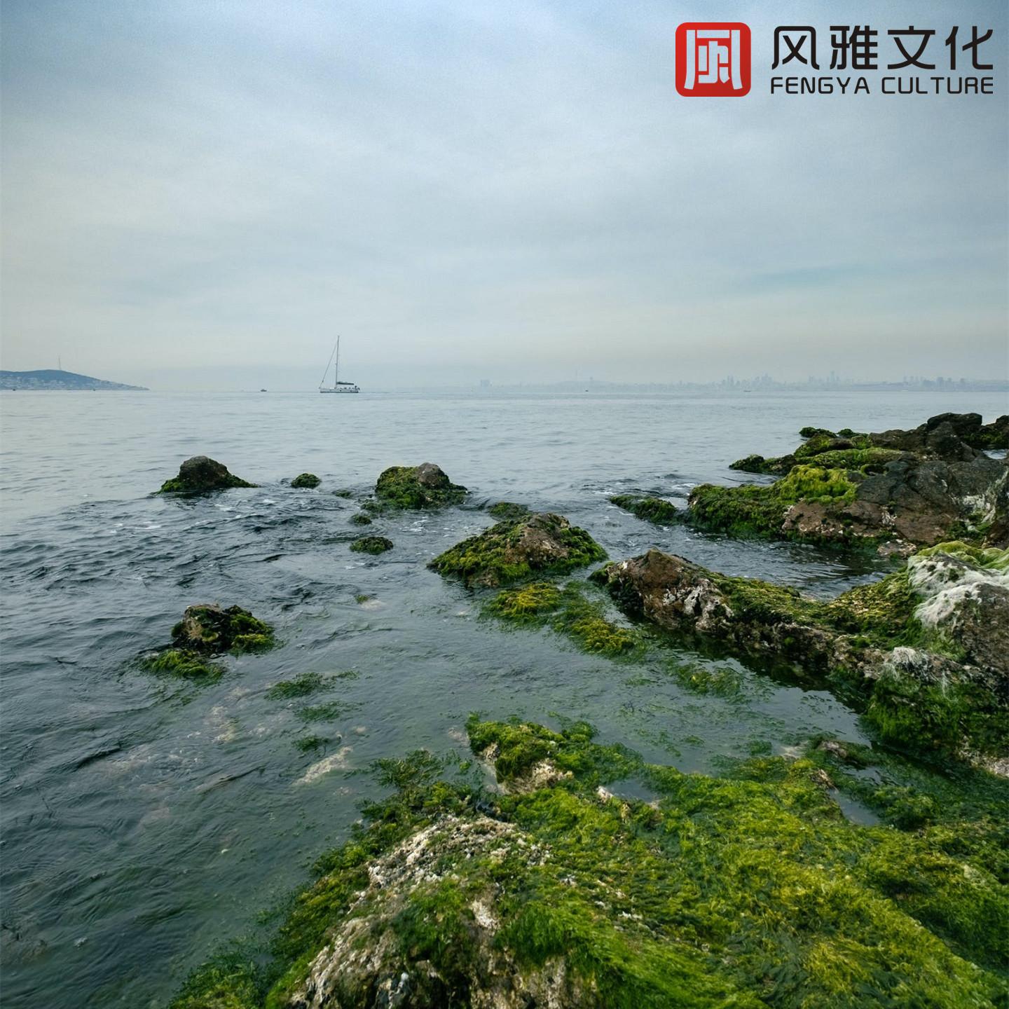轻音乐舒缓压力放松心情/伴你入眠安静音乐（钢琴，古筝，小提琴）