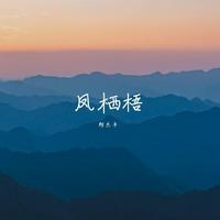 凤栖梧（纯音乐版）